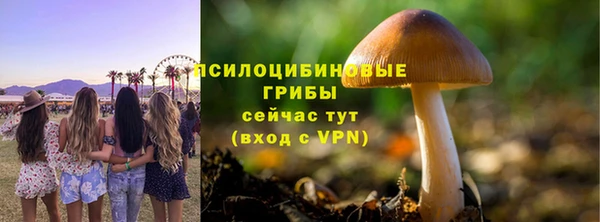 синтетический гашиш Нязепетровск