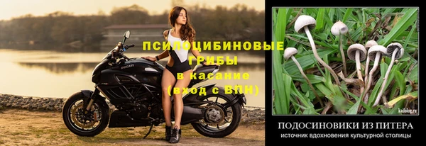 первитин Нягань