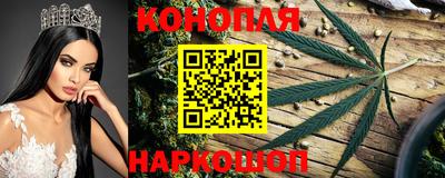 гидра Жуковский