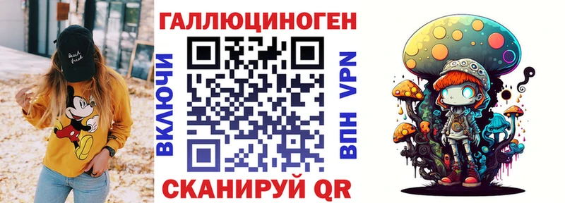 Галлюциногенные грибы Psilocybe где купить Краснознаменск
