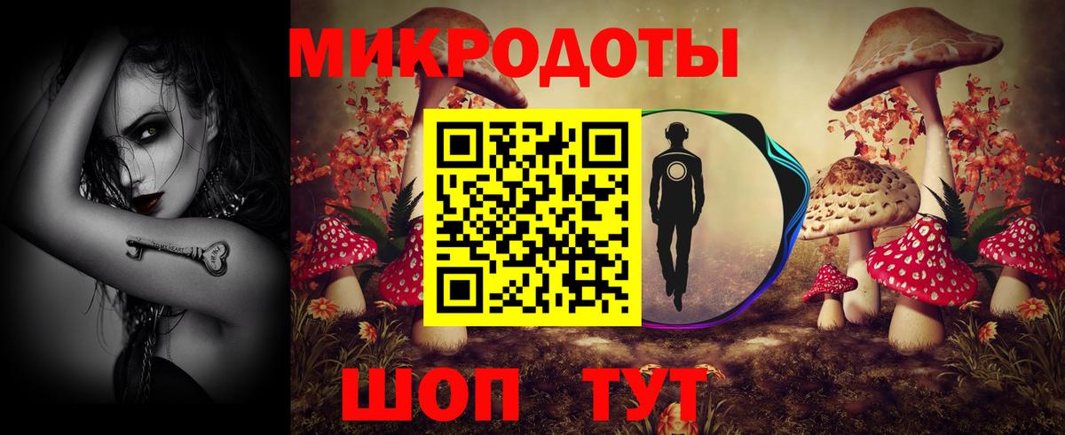 Галлюциногенные грибы GOLDEN TEACHER  Краснознаменск  Галлюциногенные грибы Psilocybe 