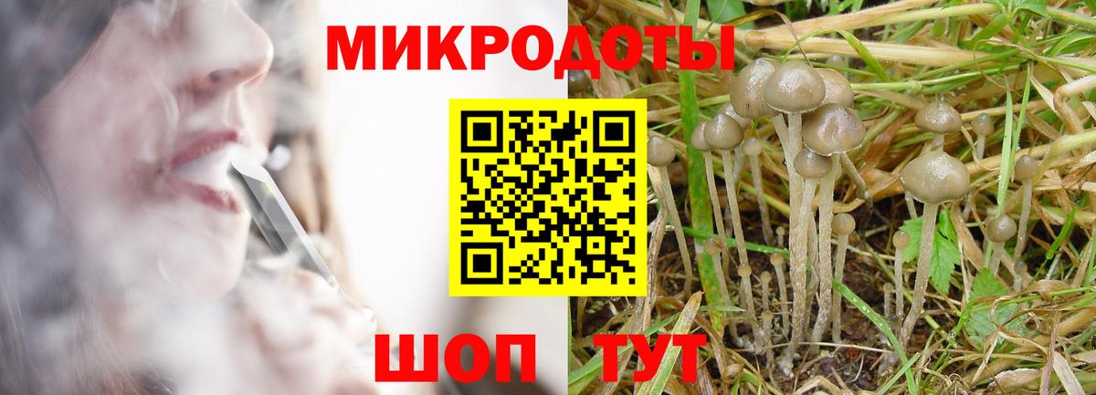 Галлюциногенные грибы GOLDEN TEACHER Краснознаменск